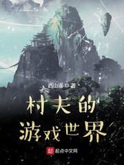 《村夫的游戏世界》