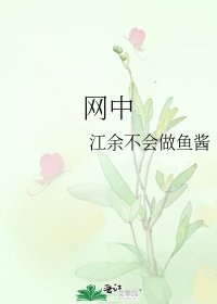 网中