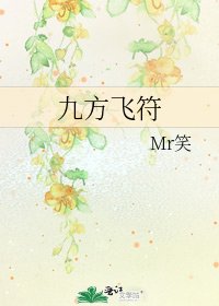 《九方飞符》