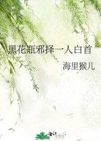 黑花瓶邪择一人白首