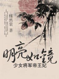 少女将军帝王妃：明亮如镜